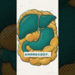 糖尿病人年过四十必须盯紧的致命指标