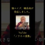 猫エイズ、糖尿病が発症しました。【保護猫】【野良猫】