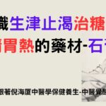 認識生津止渴/治糖尿病/清胃熱的藥材-石膏 跟著倪海厦中醫學保健養生-中醫覺醒