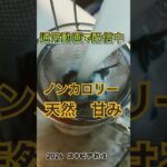 栽培したステビアを確かめた！　#糖尿病