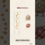 明明吃很多卻越來越瘦？搞懂毛孩糖尿病關鍵機制，搶救營養流失警訊！