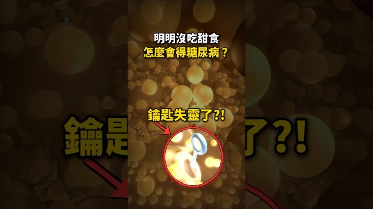 明明沒吃甜食，為什麼會得糖尿病？