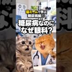 糖尿病なのに、なぜ眼科？【猫ミーム｜糖尿病編第１話】