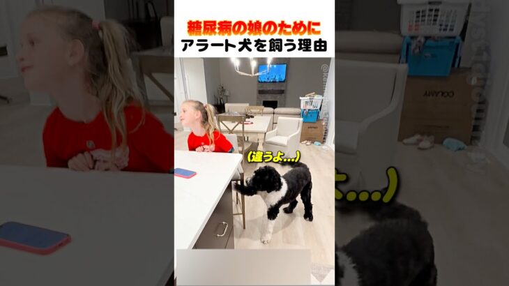 糖尿病の娘にアラート犬が必要な理由