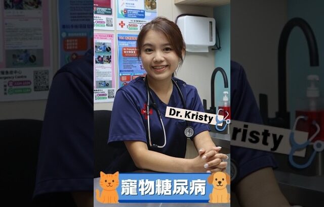 🔎認識寵物糖尿病