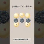 糖尿病を招く「脂肪膵」の正体