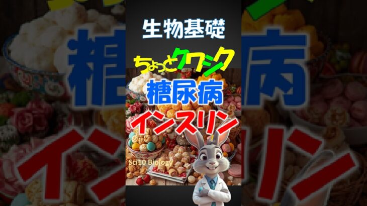 糖尿病とインスリン【ちょっと詳しく】生物基礎　糖尿病の仕組みをわかりやすく　共通テスト、定期テスト、一般常識。#糖尿病　#インスリン　#共通テスト