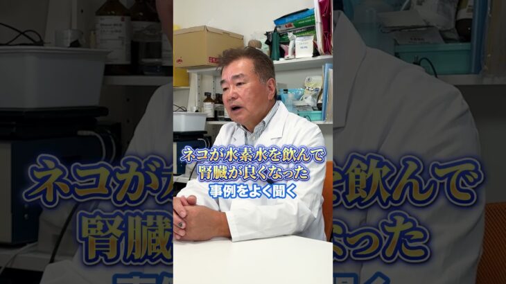ネコや糖尿病を救う？知られざる水素の可能性